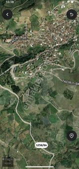 915 M2 Asfalt Cephe Zeytin Bahçesi