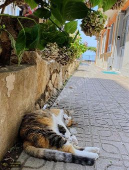 Çınarcık Merkezde Deniz Manzaralı Daire