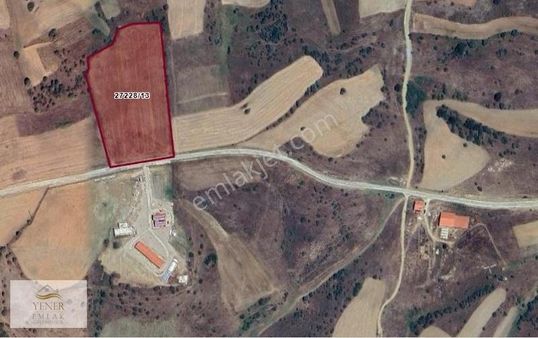 Hekimdağ Köyünde Bektaşpınar Köyü Yoluna Cepheli Satılık Tarla