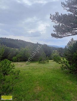 Bilecik Yenipazar Esenköy'de Fırsat Yatırımlık 1,716m2 Tarla