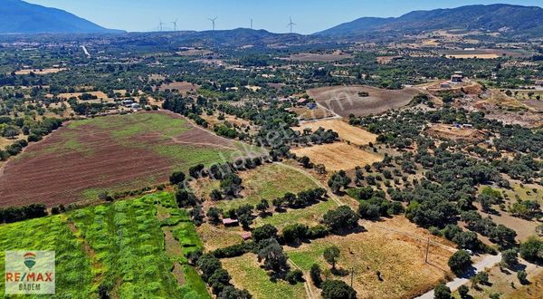 Datça Kızlan Mahallesinde Denize Yakın Satılık Tarla