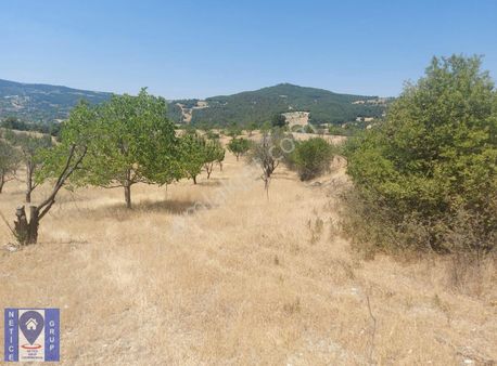 Kütahya'da 118 Dönüm Tarla