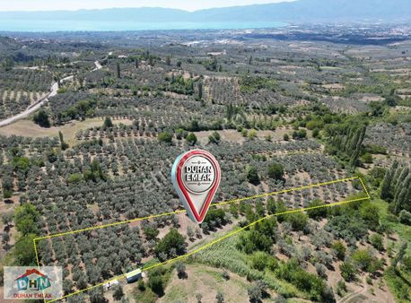 Duhan Emlak'tan Ortaköy Göl Manzaralı 4.602m2 Bakımlı Bahçe