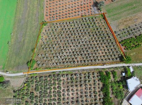 Seydikemer Kabaağaç Köyünde Müstakil Parsel 8604 M2 Satılık