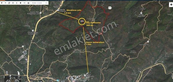 Canbulattan Güldere Köyünde 5.000 M² Satılık Fındık Bahçesi