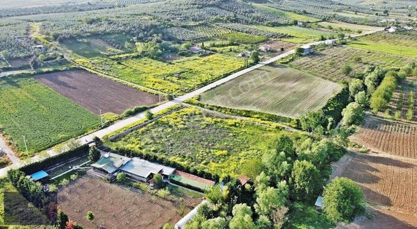 Magna Centerdan Çekricede Yola Cephe 5.100 M2 Satılık Tarla