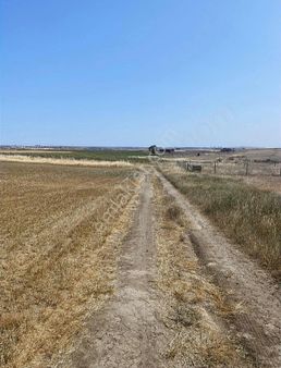 Ergene Yulaflıda Meraya Cepheli 1570 M2 Hisseli Tarla