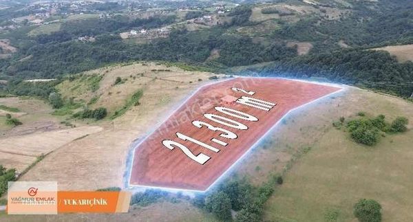 Yağmur Emlak'tan Süper Manzaralı Ev, Havuz Ve Fındık Tarlası