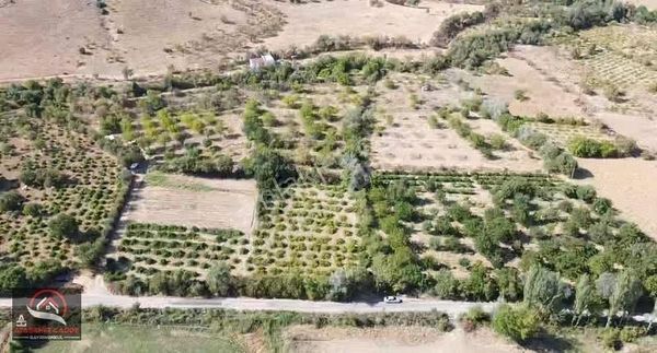 [acg] Seli' De Hazır Kurulu 7.621 M2 Bahçe