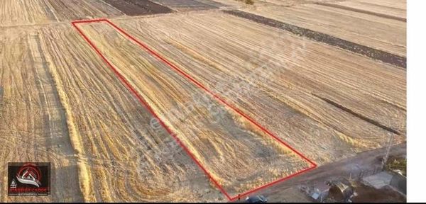 [acg] Mollakendi Köğenk(güntaşı)'nda 2.479 M2 Satılık Tarla