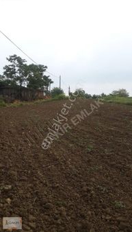 Hayrabolu Büyükkarakarlı Satılık Arsa