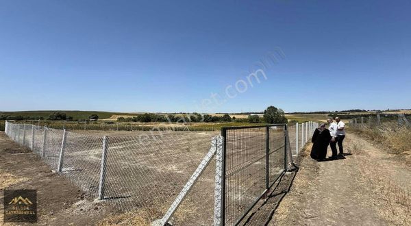 Silivri Seymen 1.125m2 At Çiftliğin Arkasında Yerleşim İçinde