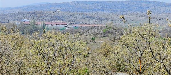 Dursunbey Organize Sanayi Bölgesinde 22 Dönüm