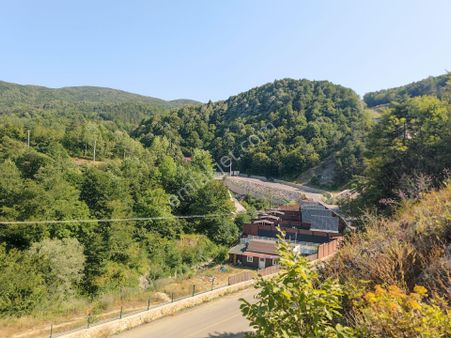 Sapanca İkramiye Mah.18 Dönüm Müstakil Tapulu Tarla