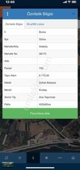 Yatırımlı Kestele 1000 Mt