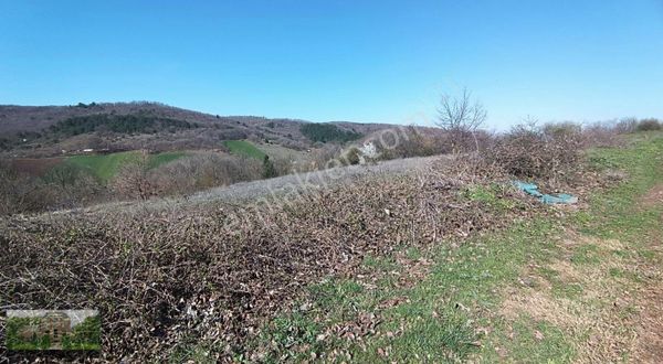 Bursa Yenişehir Marmaracık 25 Dönüm Hisseli Tarla