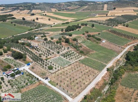 Artı'dan Karacaoba'da Asfalt Yola 75m Cephe Kupon Arazi