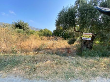 İzmir Bayındır Zeytinova Mahallesi Satılıkbahçe Kelepir