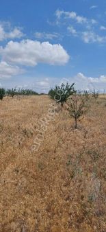 Yatırım Bölgesi Afyon-kütahya Yolu'na Sıfır 2 Ayrı Parsel Arazi