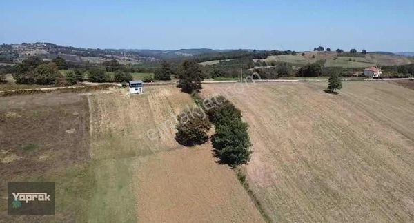 "acil" Kandıra Sepetçi Köyünde Yol'a Cephe ..