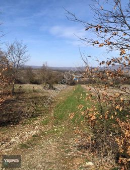 Pazaryeri Dereköy Köy Yanı Yollu