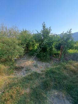 Ortaca Yeşilyurt Mahallesinde Tek Tapu 10 Dönüm Narenciye Tarlası