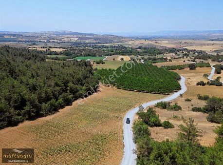 Müftüoğlu'ndan Yenişehir Çamönü Mh. Satılık Tarla