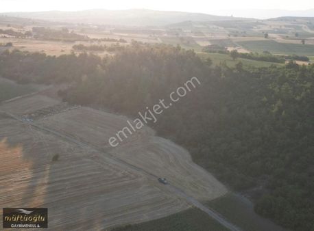 Müftüoğlu'ndan Yenişehir Günece Mah. Satılık Tarla