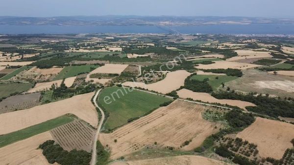 Çanakkale Subaşı Köyü Ful Boğaz Manzaralı 24.699m2 Satılık Arazi