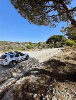 Akbaşlardan Milas Sarıkaya'da Otomobille Erişim İmkanlı Arazi