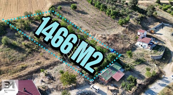 Sakarya 1466 M2 Bahçe İçinde Elektrik,su Bağlı 50 M2 Bungalov