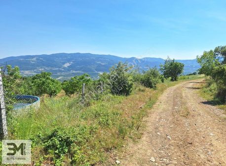 Geyve Eşme 2982 M2 Manzaralı Su Kuyusu Yola Cephe Ceviz Bahçesi