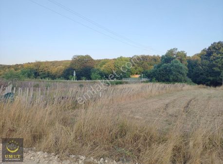 Silivri Danamandıra'da Yeri Ve Konumu Muhteşem Satılık Tarla...