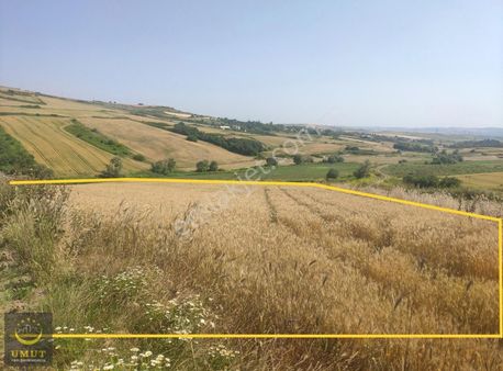 Çatalca Nakkaş'ta Köy'e Yakın Kadastro Yola Cephe Satılık Tarla.