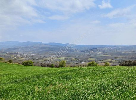 Bursa Mudanya Yalıçiflik Deniz Manzaralı Satılık Arazi