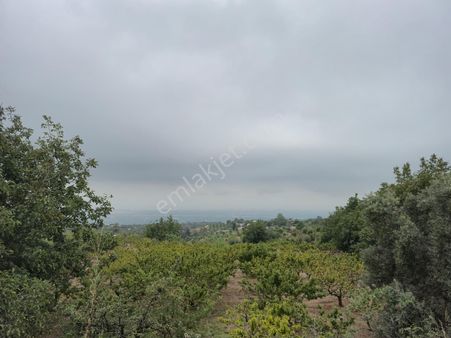 Aslan'dan Sıraçta Deniz Manzaralı Köy İçi İmarlı Satılık Baçhe