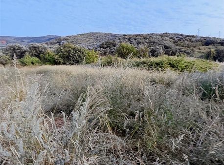 Frang Group Sahilyenice Mahallesinde Yola Cepheli 348 M2 Satılık