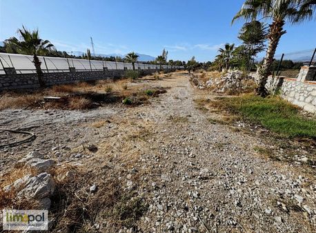 Seydikemer Döğer'de Satılık Taş Duvarla Çevrilmiş Tarla