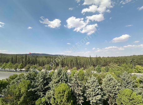 Orman Manzaralı Giyinme Odalı Düşük Kat Akıllı Sistem 3+1 Daire