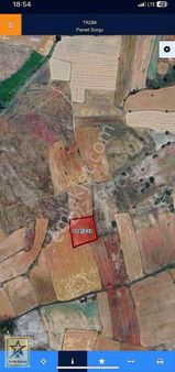 Yıldız Group - Yeni Cezaevine Yakın Karaözde Tarla