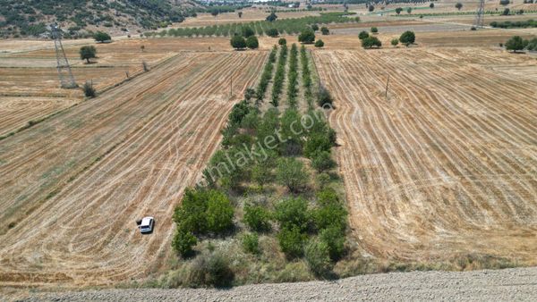 Satılık Meyve Bahçesi – Burdur - Bucak – Gündoğdu Köyü