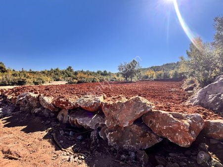 Alanya Güzelbağ Da Harfiyatı Yapılmış 814 M2 Satılık İmarlı Arsa