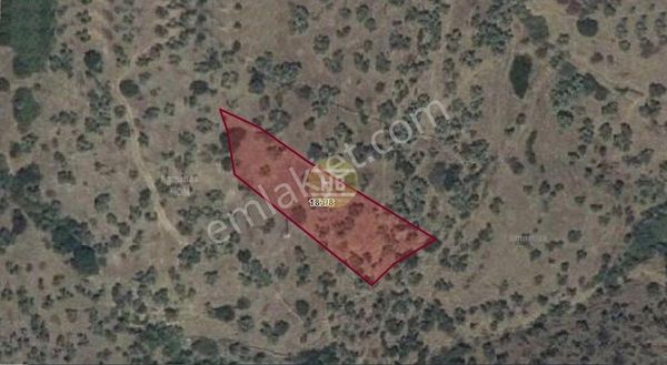 Hb'den Satılık Zeytinlik, Çine Çöğürlük Mahallesi 1.649,05 M²