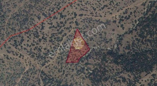 Hb'den Satılık Zeytinlik, Çine Hallaçlar Mahallesi 3.587,53 M²