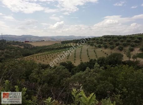 Rw-fly' Dan Köprübaşı Borlu Mah. Satılık Arazi