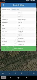 Ayvalık Gazikemal Mh. Satılık Etrafı Telle Çevrili Zeytinlik