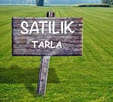 Dikili Güven Emlak'tan İslamlar Köyünde Satılık 9160 M2 Palamutlu Tarla