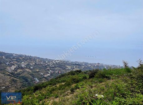 Akçaabat Darıca'da Satılık Deniz Manzaralı Arazi