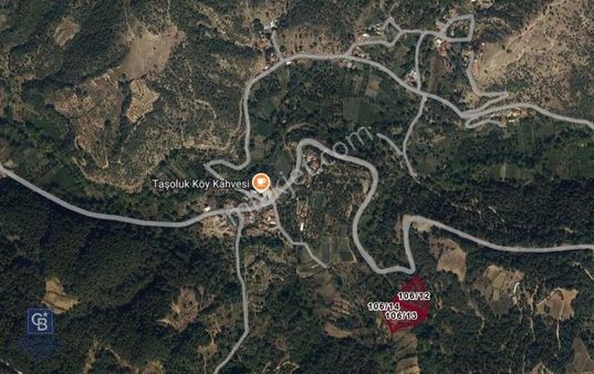 Aydın Kuyucak Taşoluk Mah. 8.500 M² Satılık Tarla