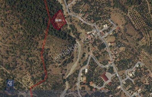 Aydın Kuyucak Gencelli Mah. 3.801 M² Satılık Tarla